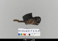 藏品(中國湖北皮影戲頭盔-官帽)的圖片